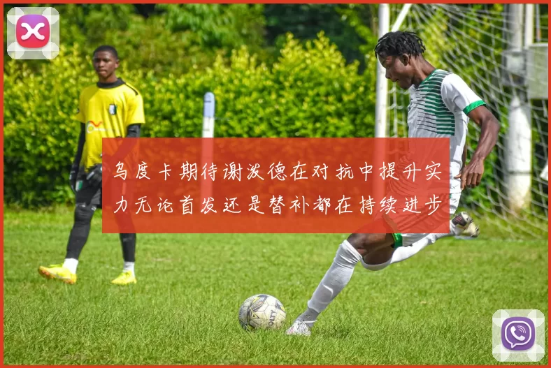 乌度卡期待谢泼德在对抗中提升实力无论首发还是替补都在持续进步