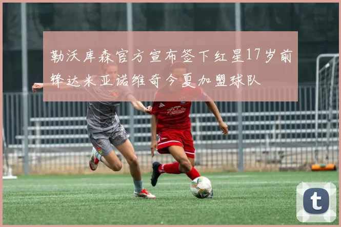 勒沃库森官方宣布签下红星17岁前锋达米亚诺维奇今夏加盟球队